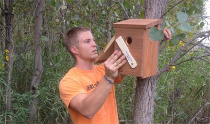 Student putting up a nestbox