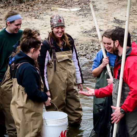 Students examining fish in a creek with Dr. Terrence Malloy in Biology class