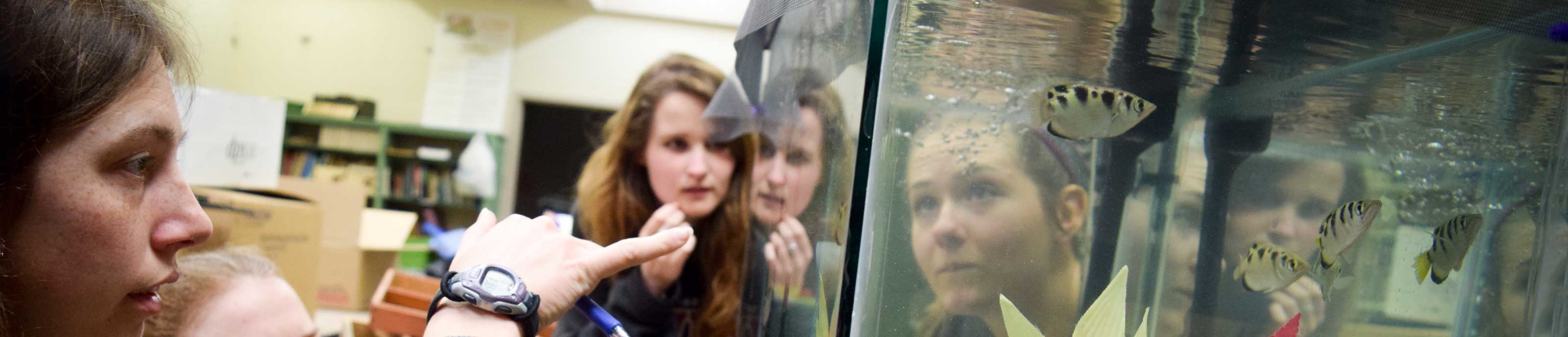 Biology students examine fish in an aquarium