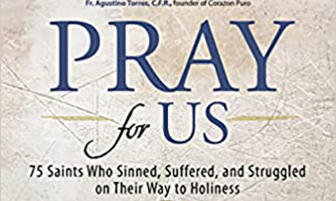 Pray for Us! Book Cover